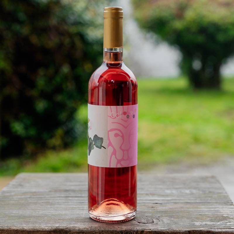 Rosato IGT 2024 Toscana