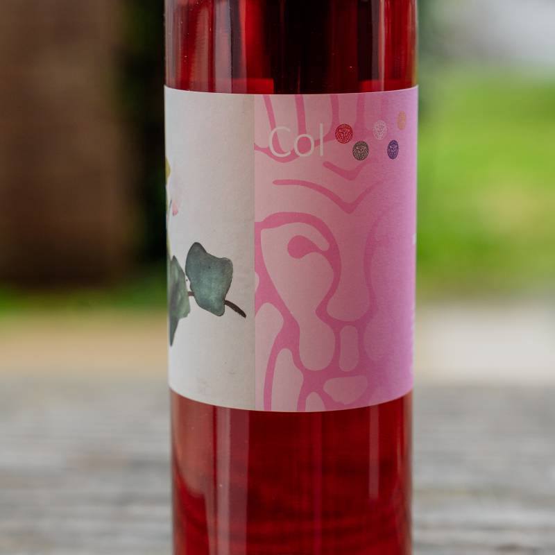 Colleoni Rosato IGT 2024 Toscana