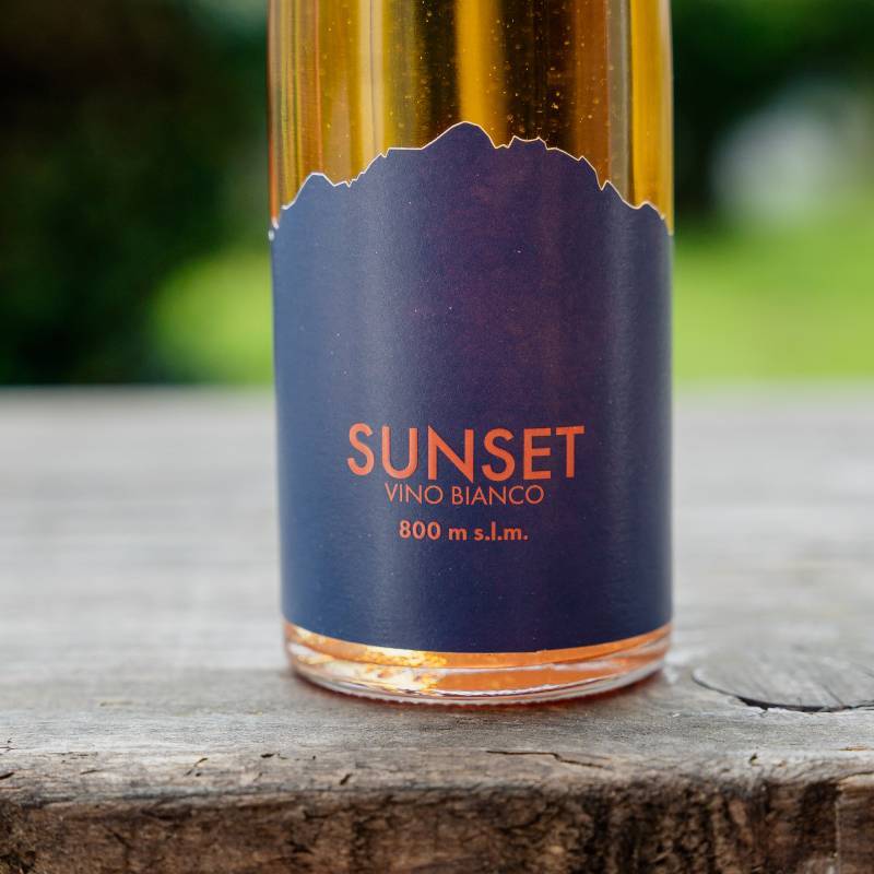 David Stein Sunset