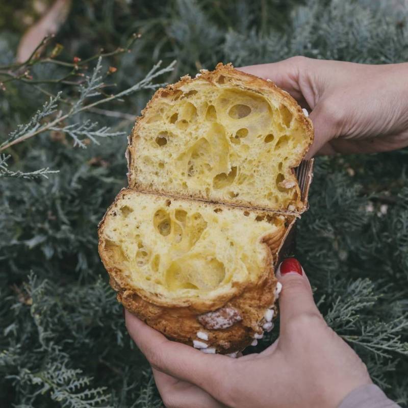 Mini Colomba Wild