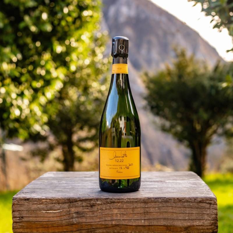 Nicola Gatta 12.22 Perpetuelle Pinot Noir