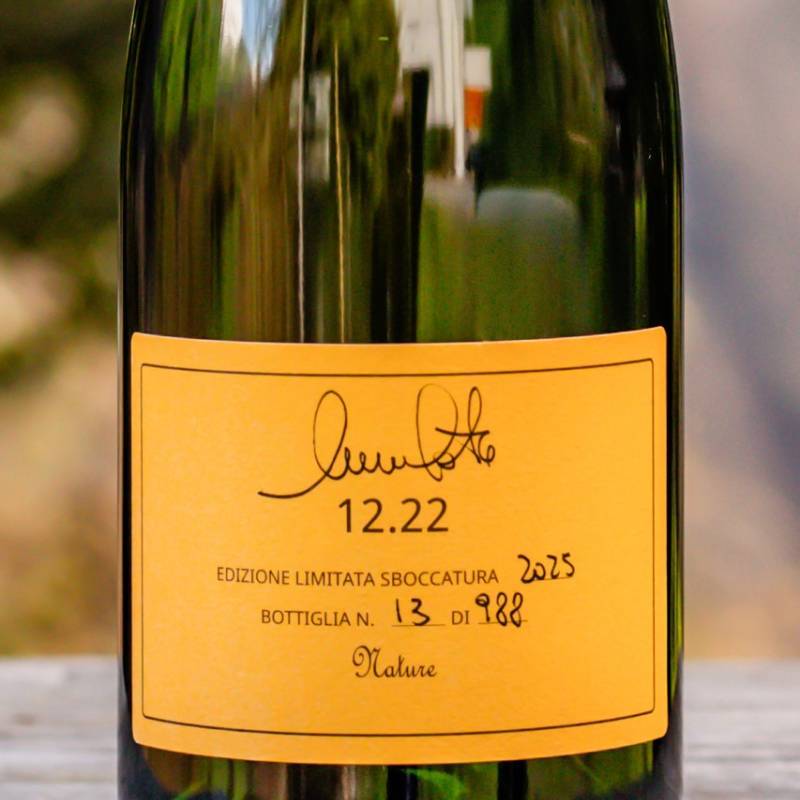 Nicola Gatta 12.22 Perpetuelle Pinot Noir