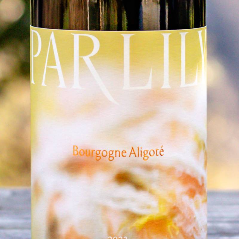 Par Lily Bourgogne Aligote