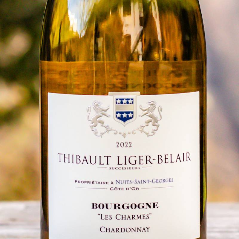 Thibault Liger Belair Bourgogne Chardonnay Les Charmes 2022