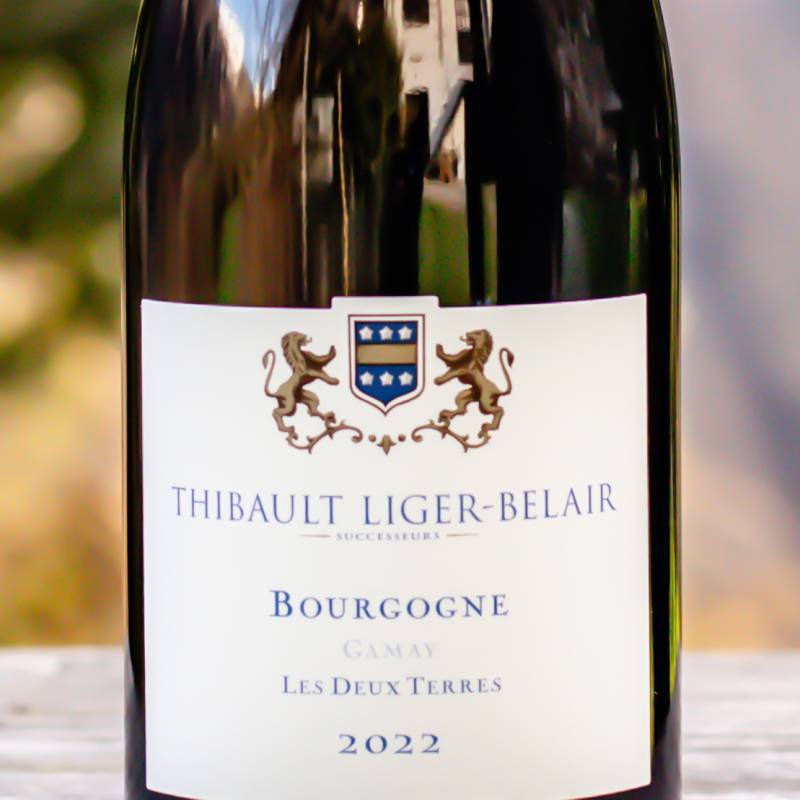 Thibault Liger Belair Bourgogne Gamay Les Deux Terres