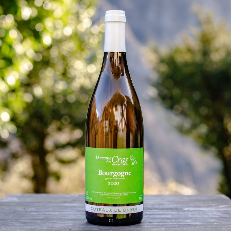 Bourgogne Blanc