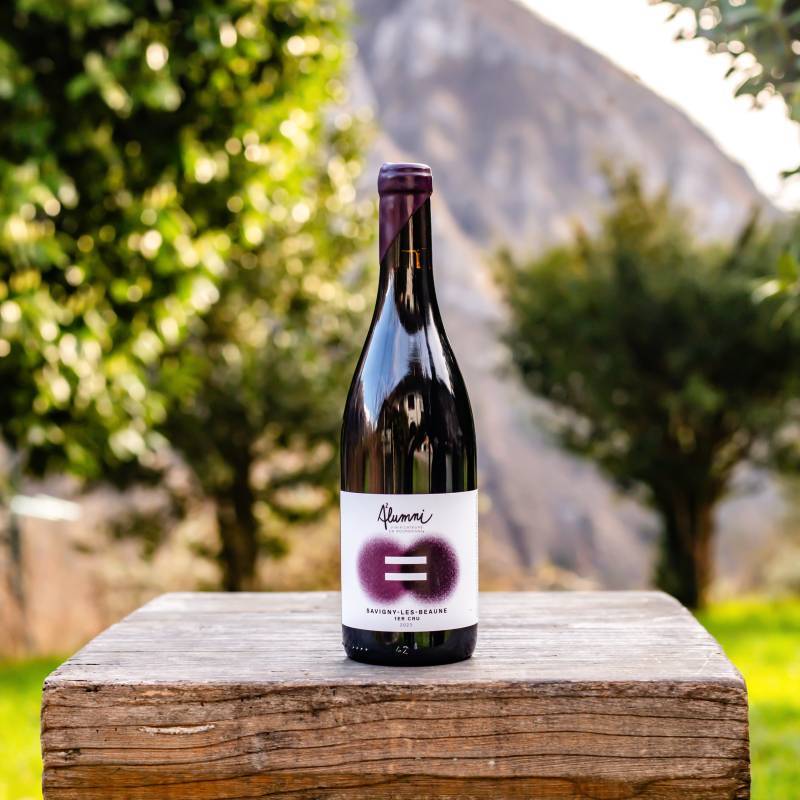 Alumni Savigny les Beaune bio 1er Cru