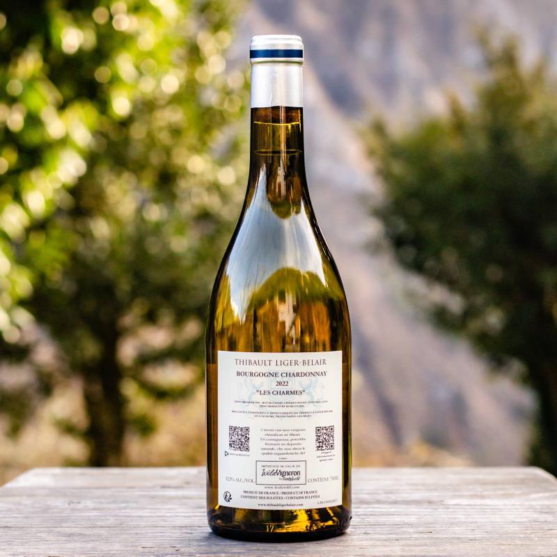 Thibault Liger Belair Bourgogne Chardonnay Les Charmes 2022