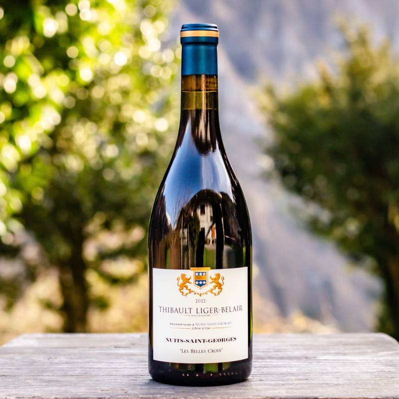 Nuits-Saint-Georges Les Belles Croix 2022