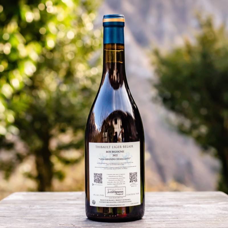 Thibault Liger Belair Bourgogne cuvée Les Grands Chaillots 2022