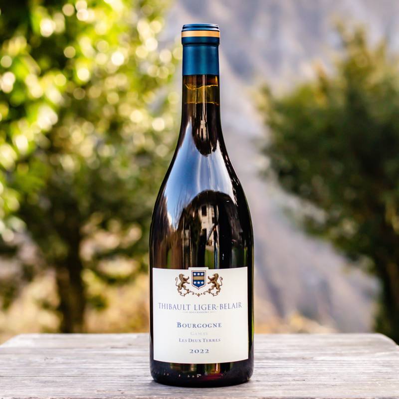 Bourgogne Gamay Les Deux Terres