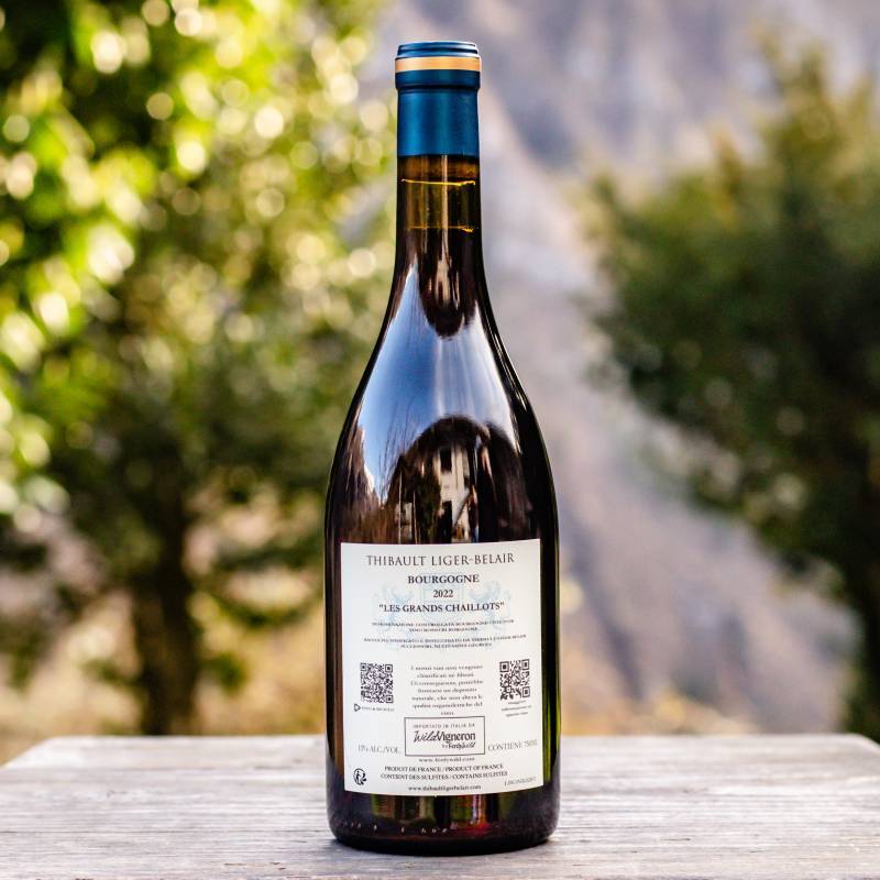 Thibault Liger Belair Bourgogne Gamay Les Deux Terres