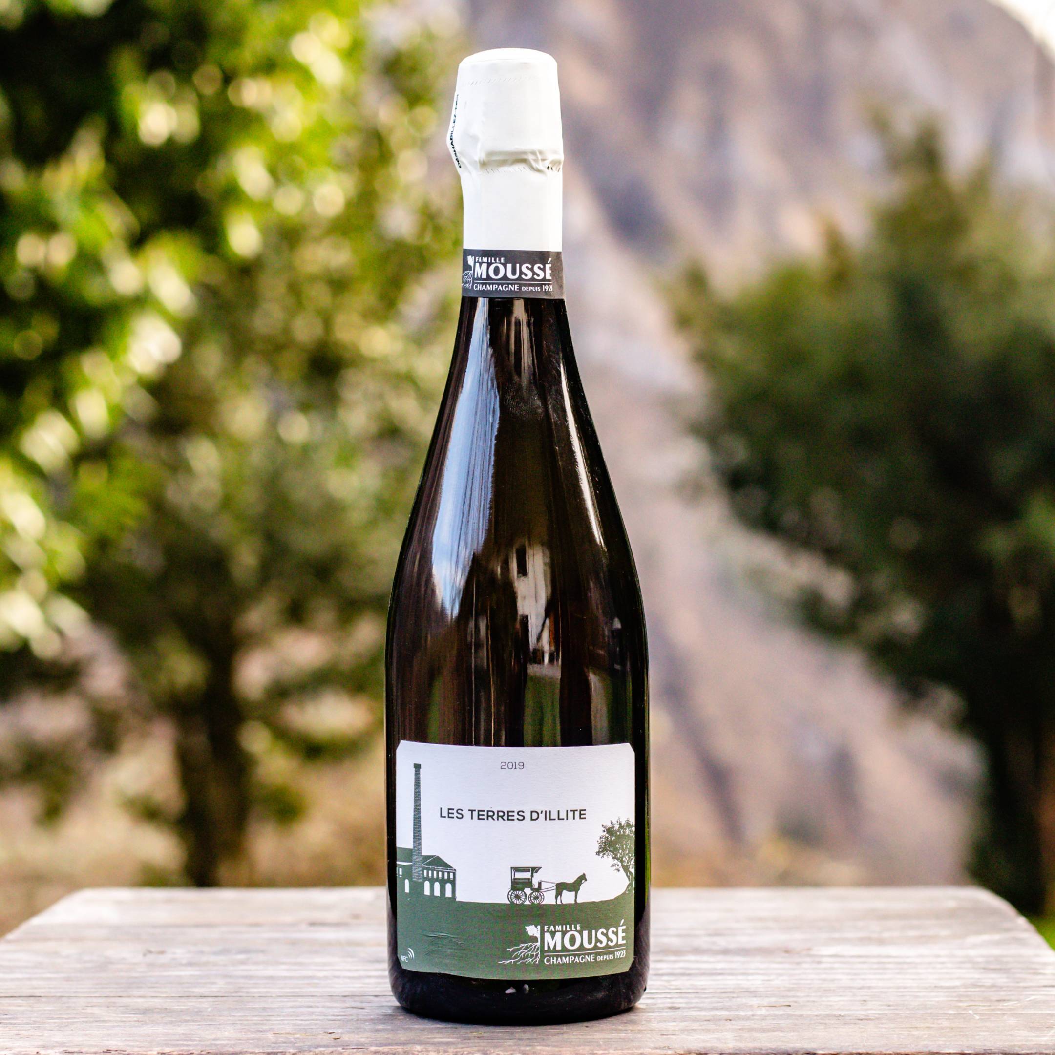 Mousse Fils Les Terres D'Illite 2019
