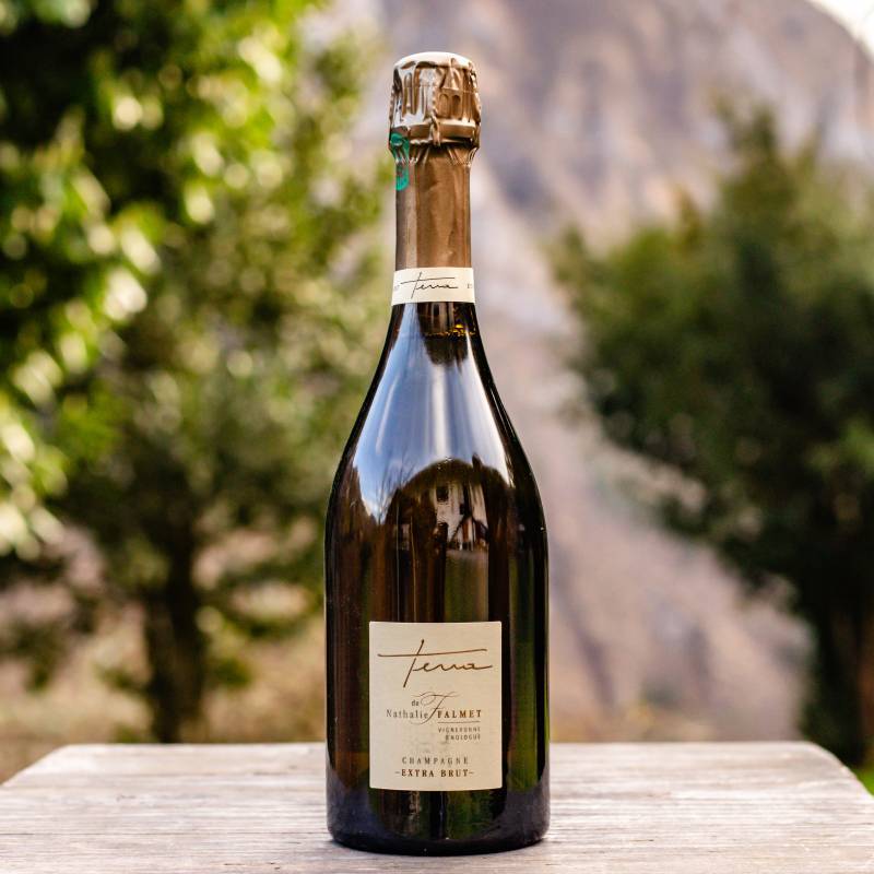 Champagne Extra Brut Blanc de Blancs “Terra”