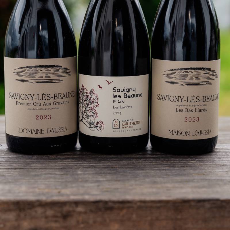 Savigny Tasting Box