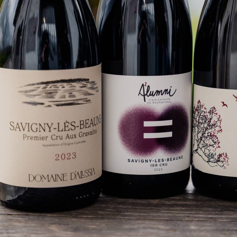  Savigny Tasting Box Full