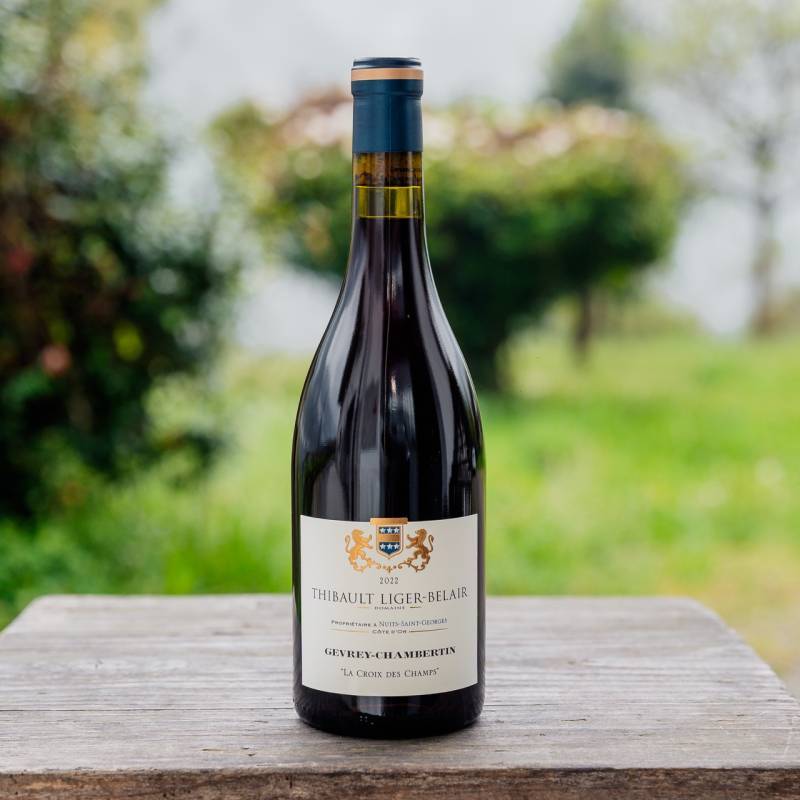 Gevrey-Chambertin La Croix des Champs 2022