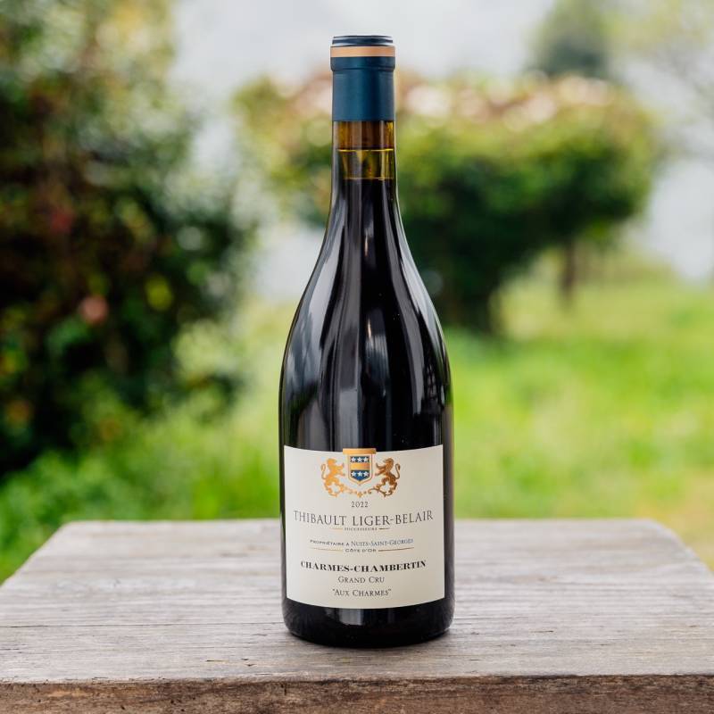 Charmes-Chambertin Aux Charmes 2022