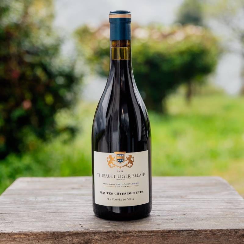 Hautes Cotes de Nuits La Corvee de Villy 2022