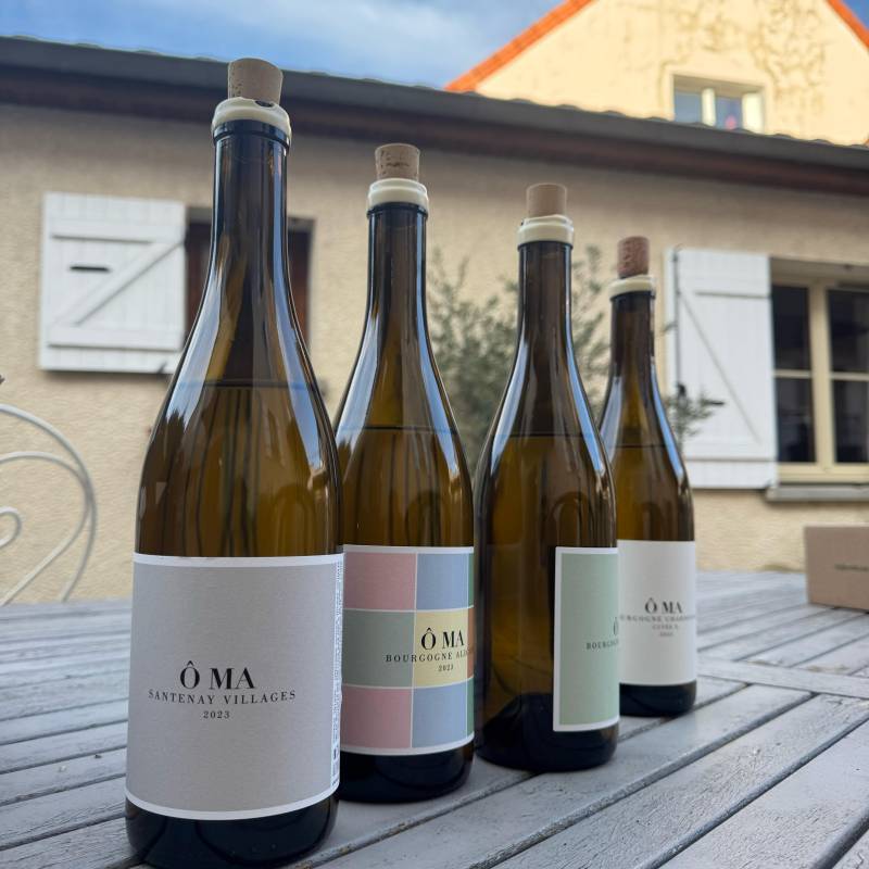 OMA Santenay Santenay Villages Blanc
