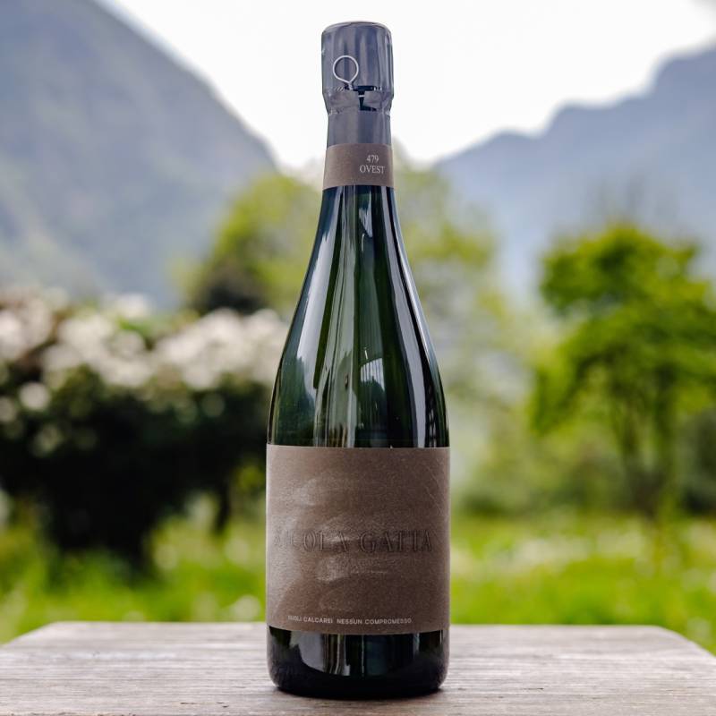 0,75 - Cru Campiani 479