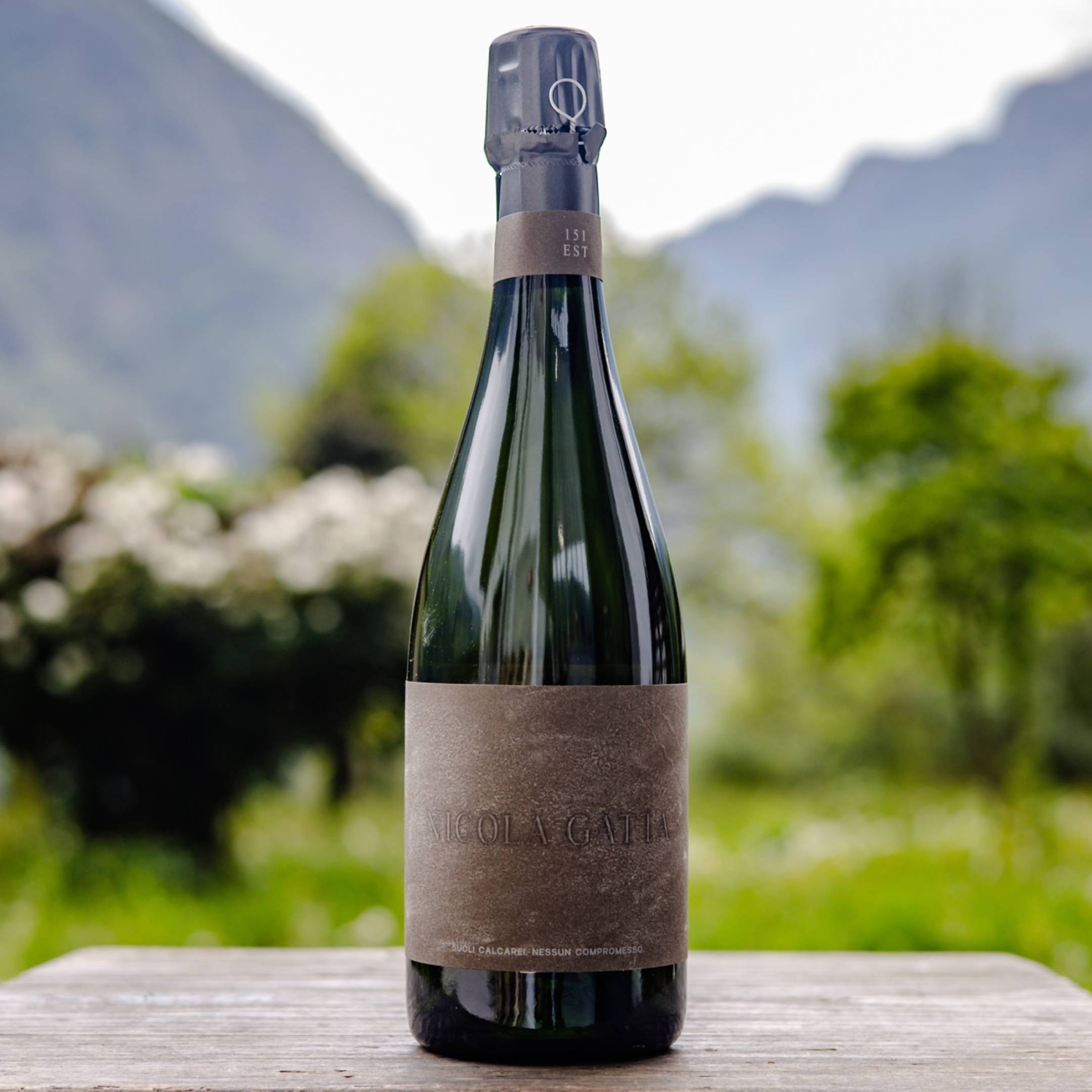 Nicola Gatta Cru Campiani 151