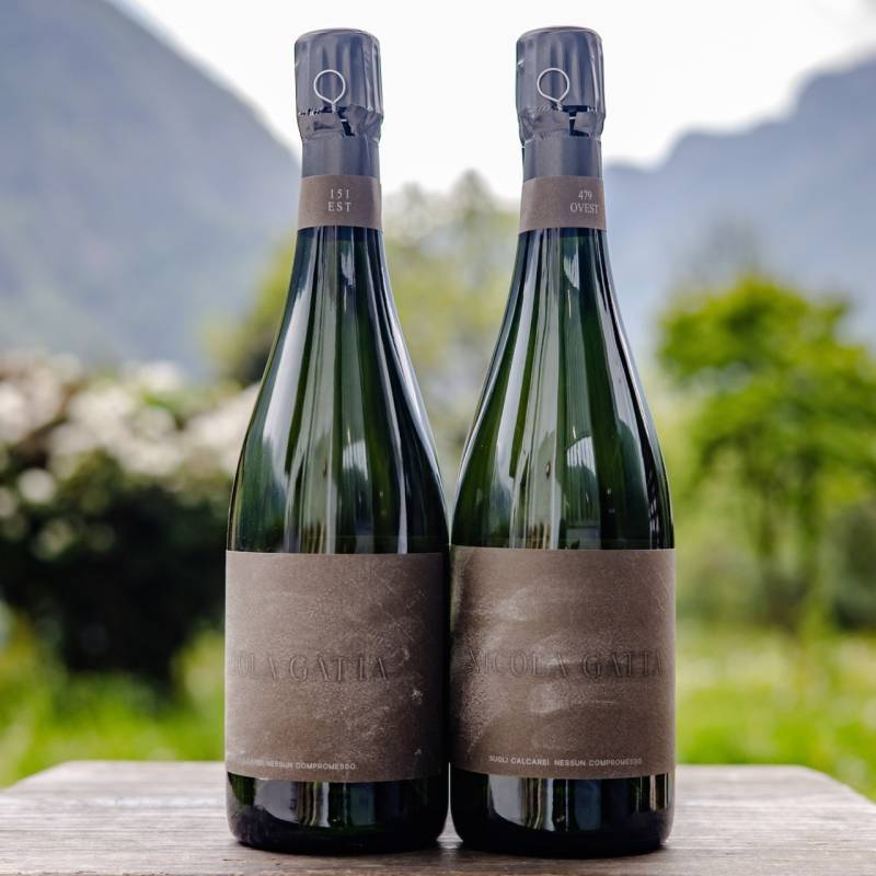 Nicola Gatta Cru Campiani 151 + Cru Campiani 479