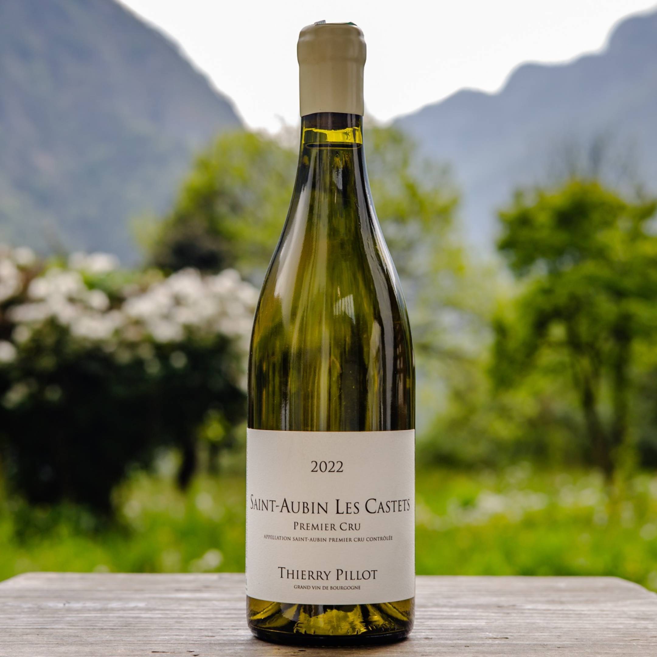 Pillot Thierry Saint Aubin 1er Cru Les Castets 2022