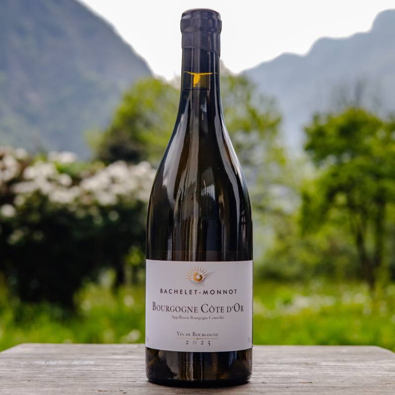 Bourgogne Cote d'Or Blanc