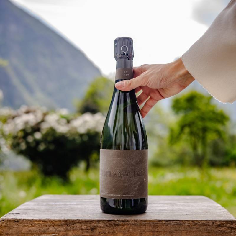 Nicola Gatta Cru Campiani 151