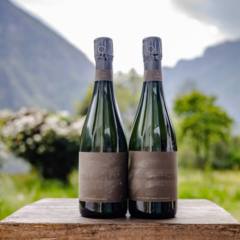 Nicola Gatta Cru Campiani 151 + Cru Campiani 479