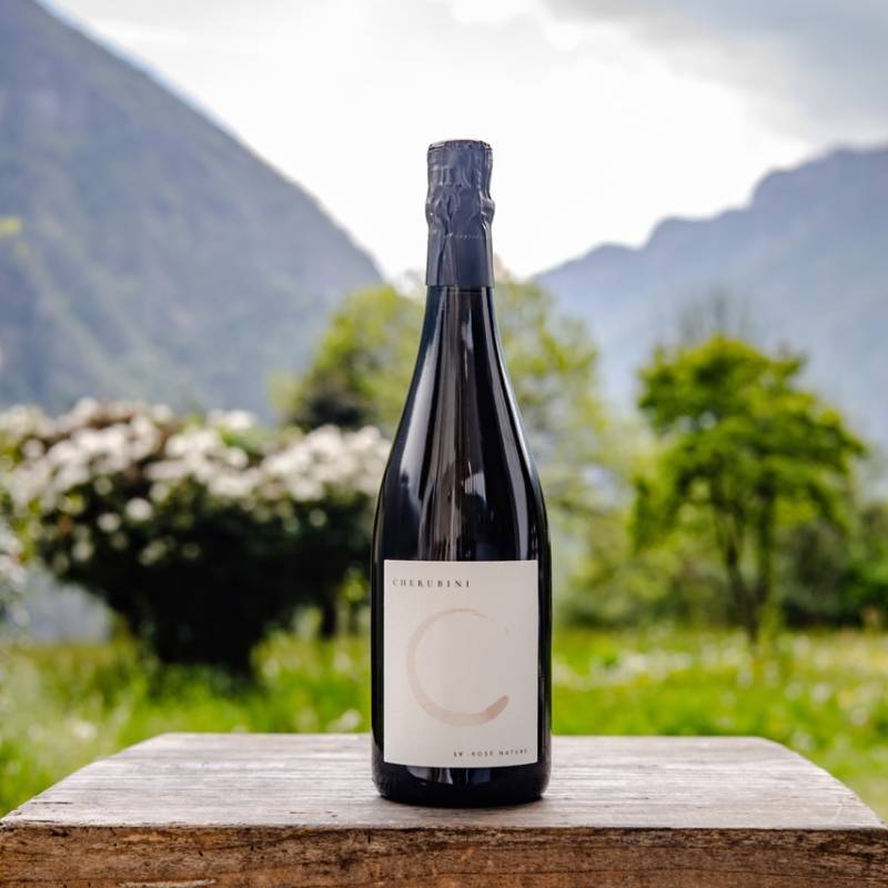 Cherubini Levis Rosè