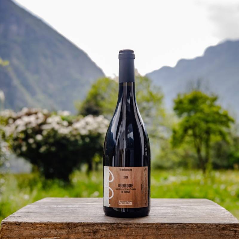 Domaine Petit Roy Bourgogne Rouge De Sousa