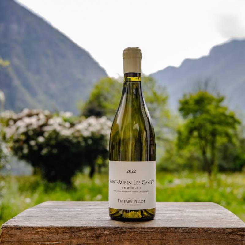 Pillot Thierry Saint Aubin 1er Cru Les Castets 2022