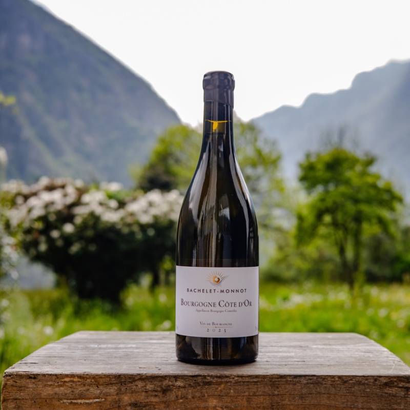 Bachelet Monnot Bourgogne Cote d'Or Blanc