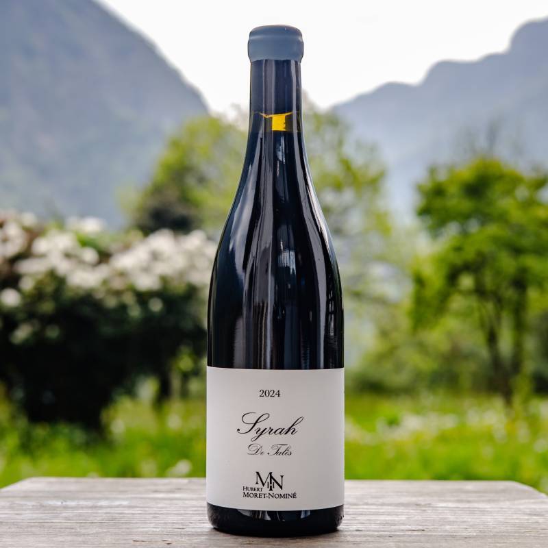 Syrah