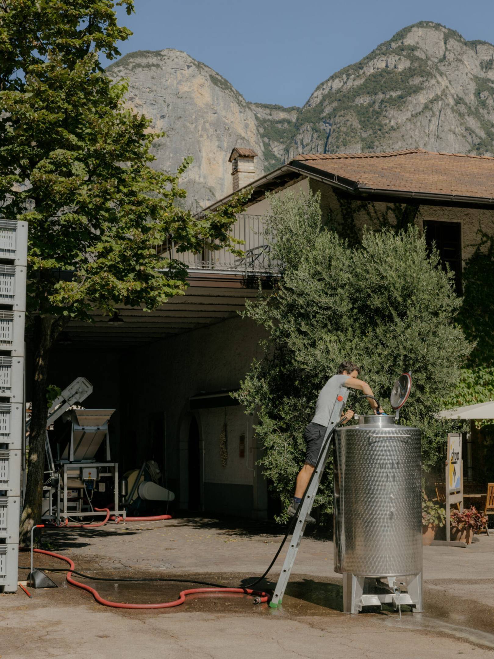 Foradori: oltre la biodinamica, verso l’individualità del terroir