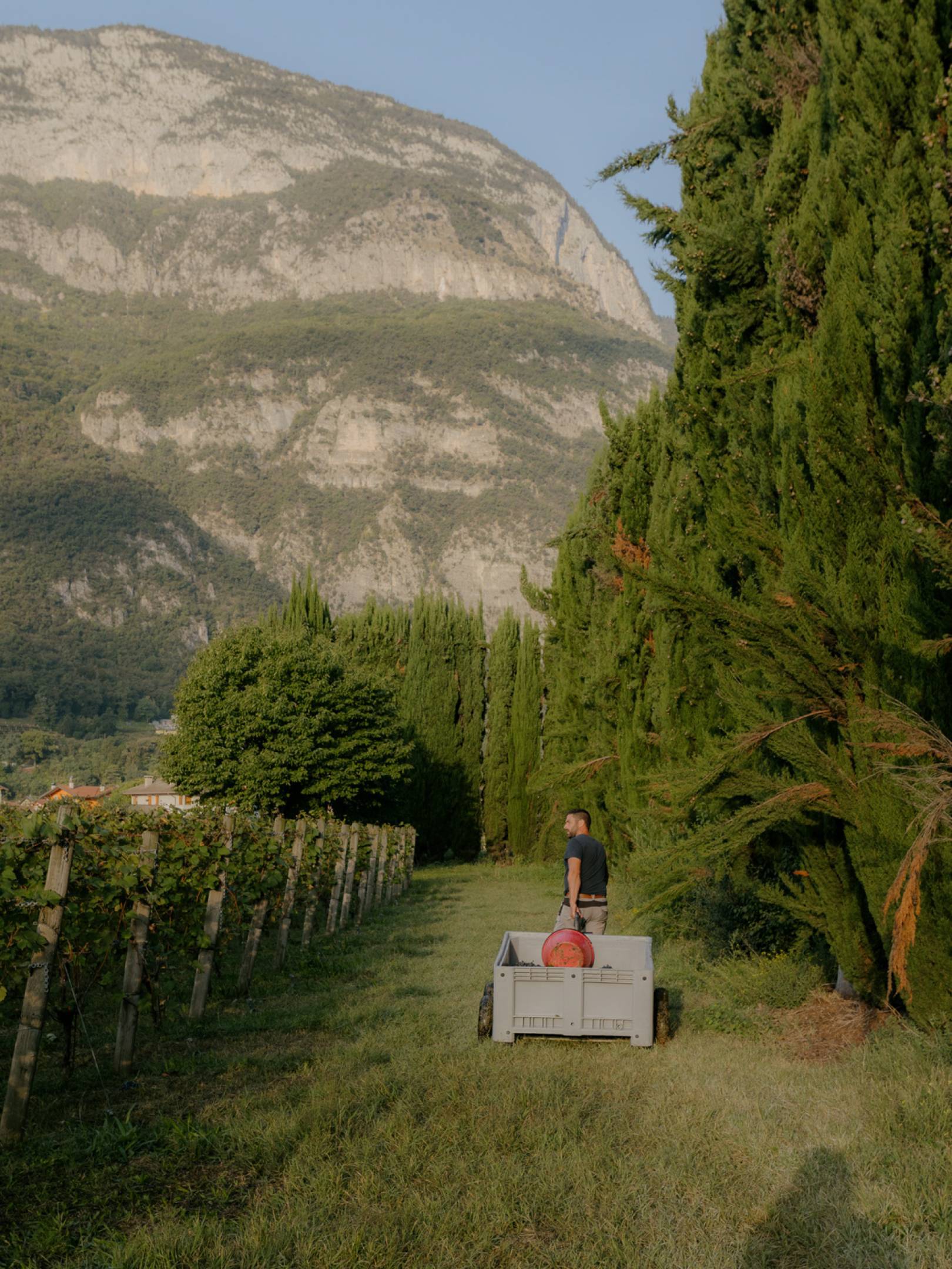 Foradori: oltre la biodinamica, verso l’individualità del terroir