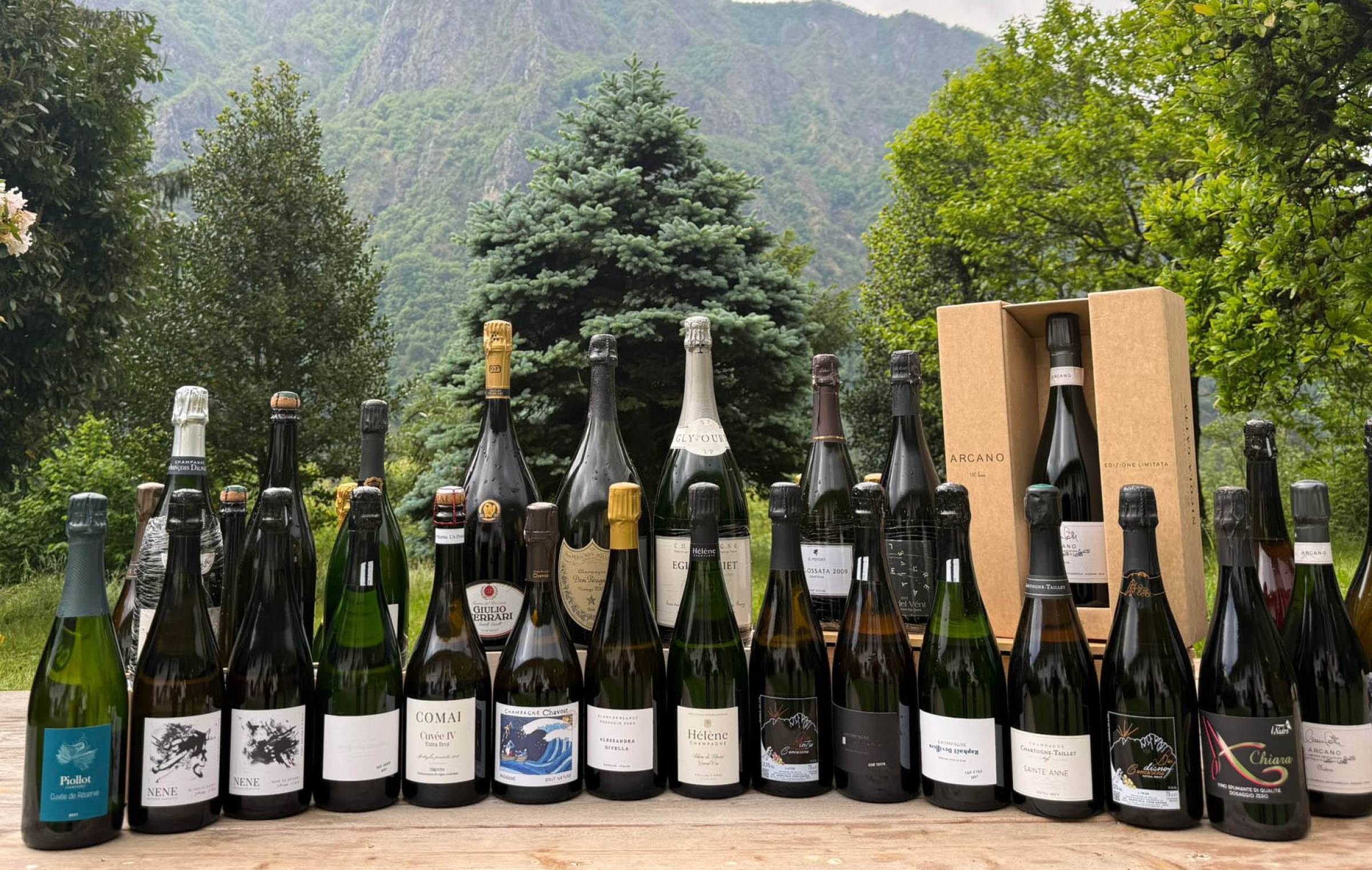 WILD DROP - Bolle: Italia vs Champagne