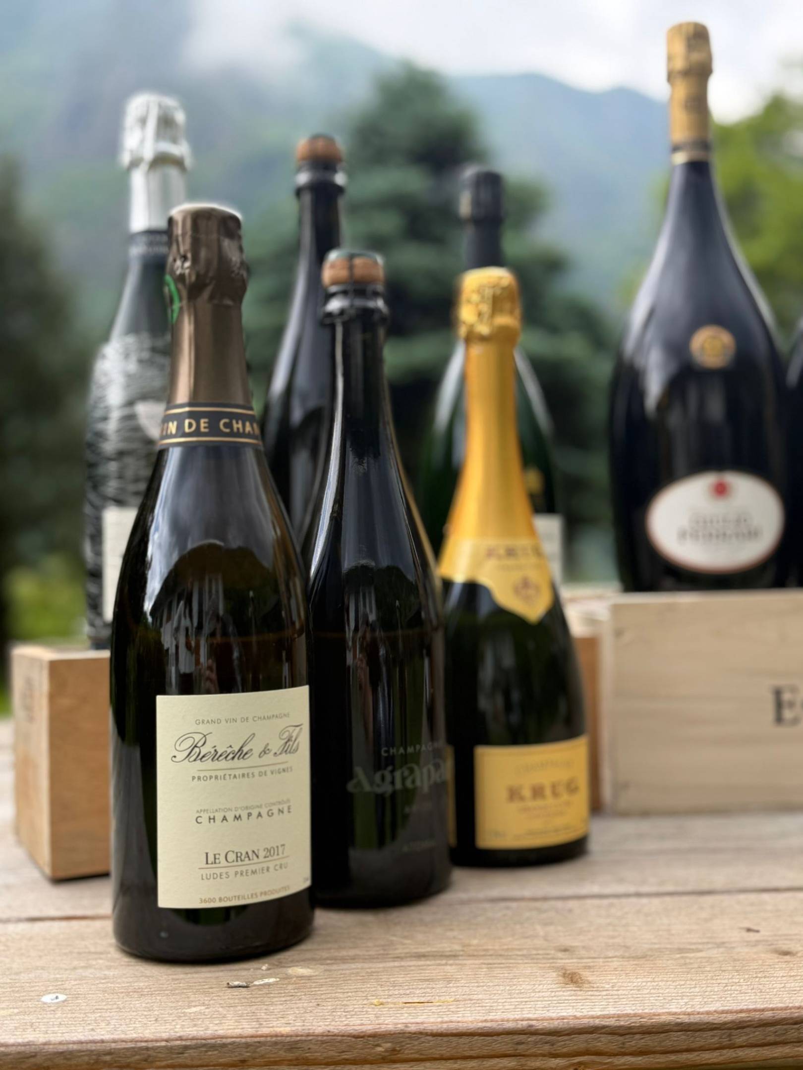 WILD DROP - Bolle: Italia vs Champagne