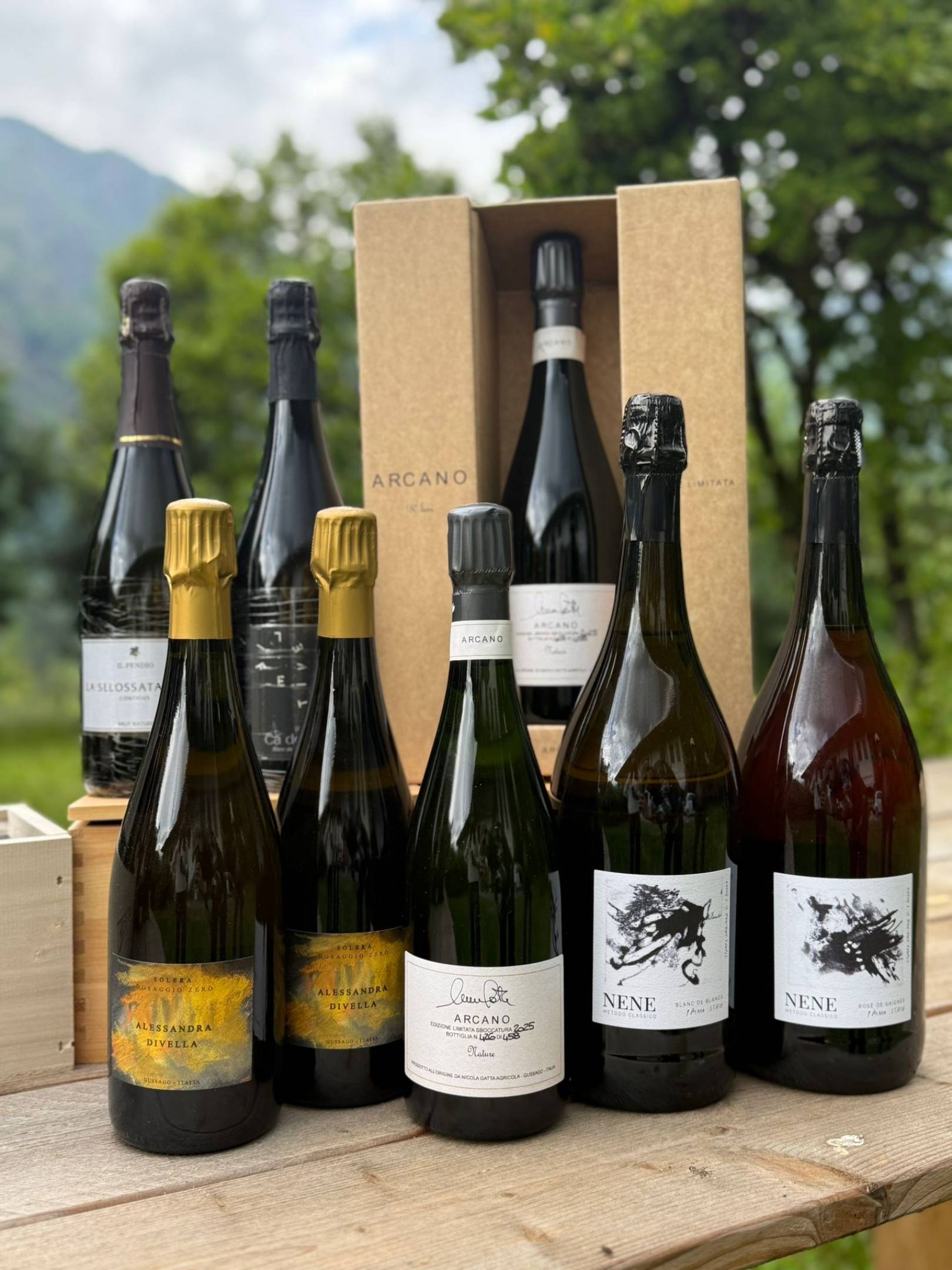 WILD DROP - Bolle: Italia vs Champagne