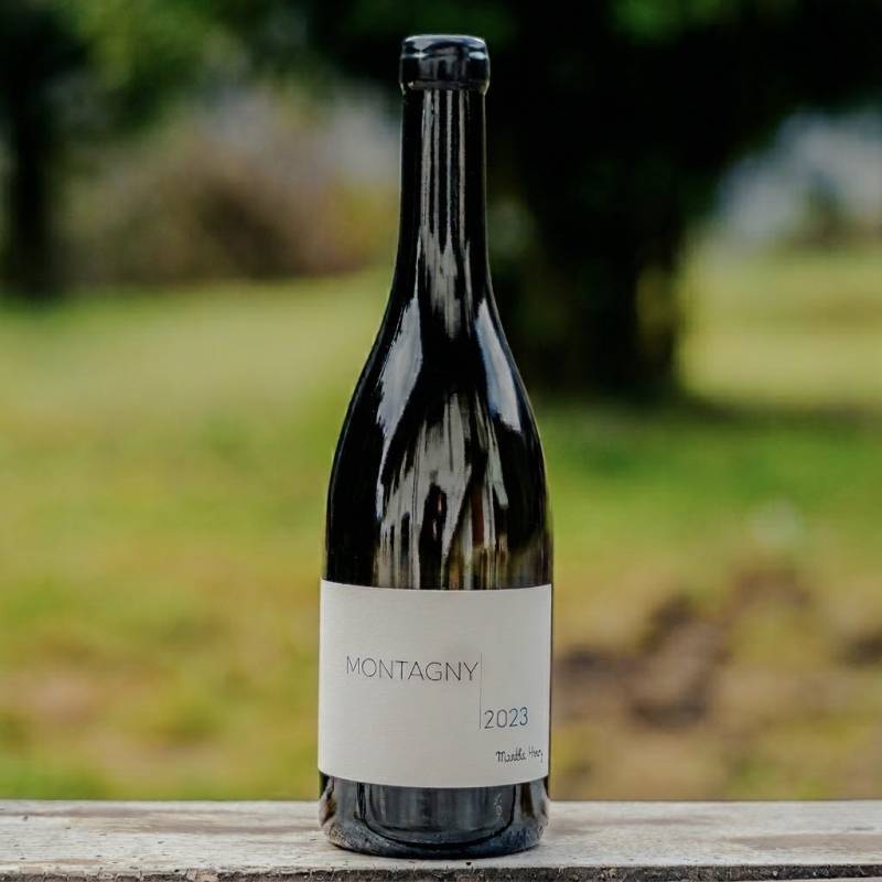 Montagny Blanc