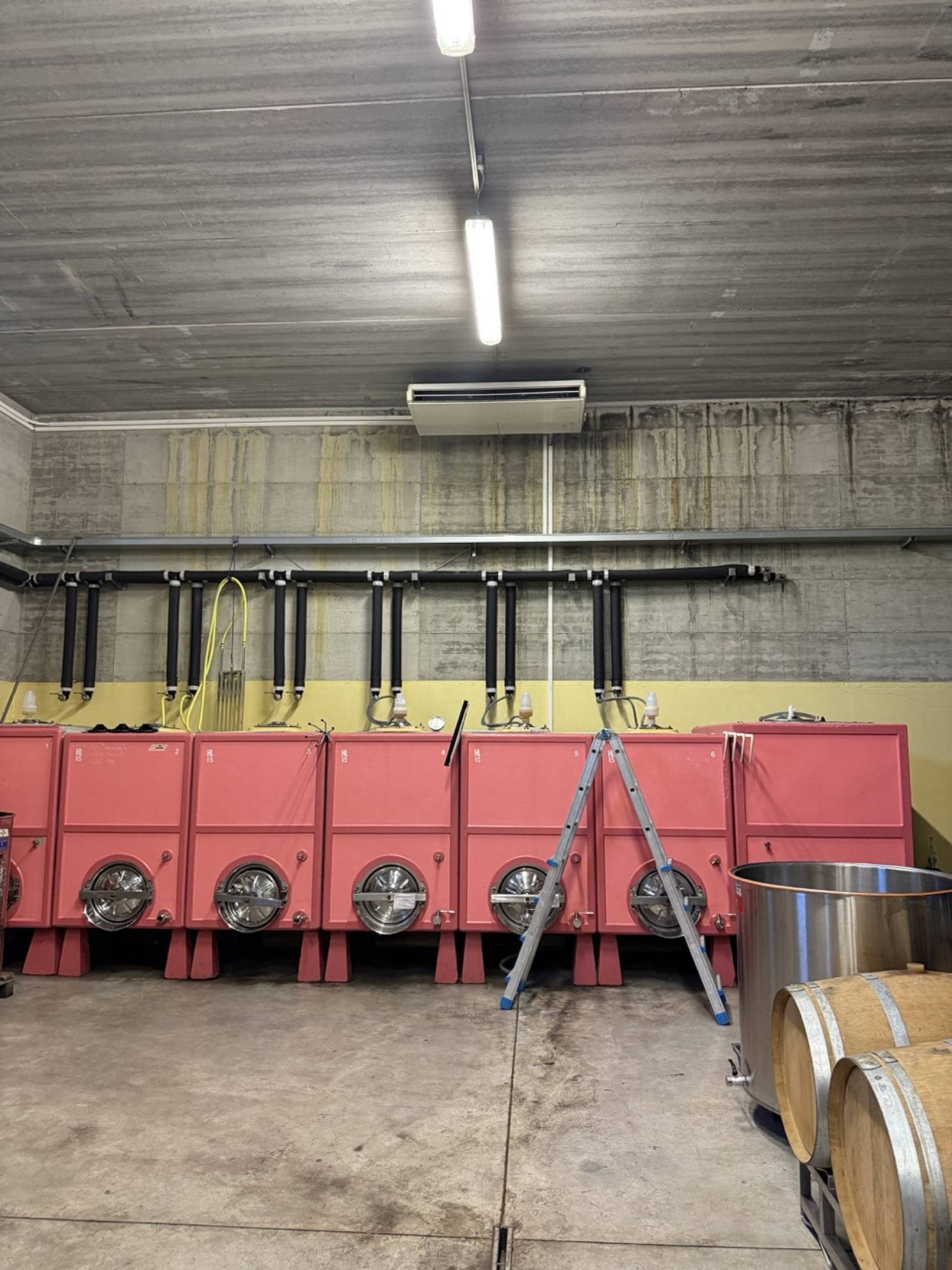 Azienda Agricola Nene: bollicine artigianali nelle Langhe
