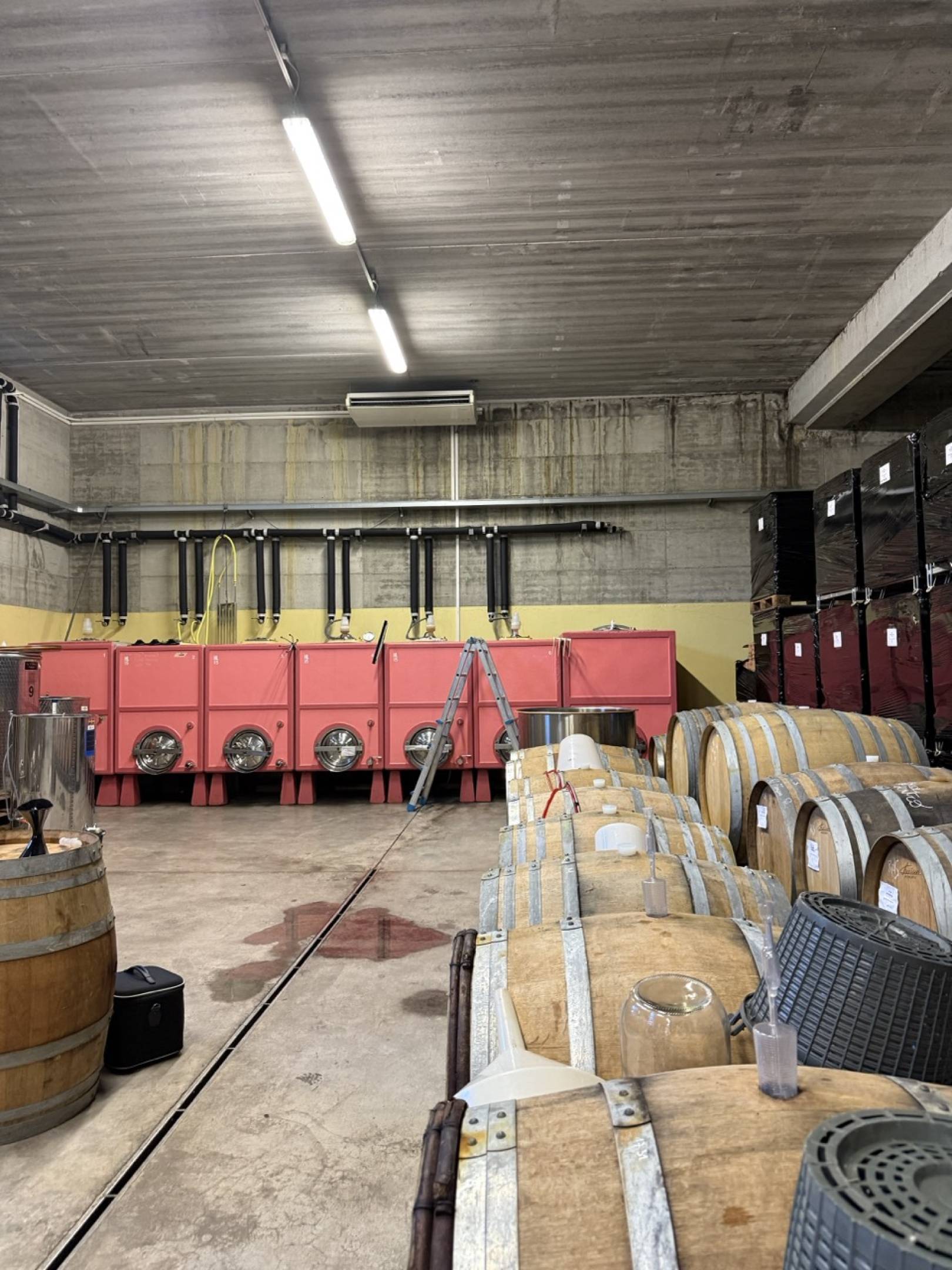 Azienda Agricola Nene: bollicine artigianali nelle Langhe