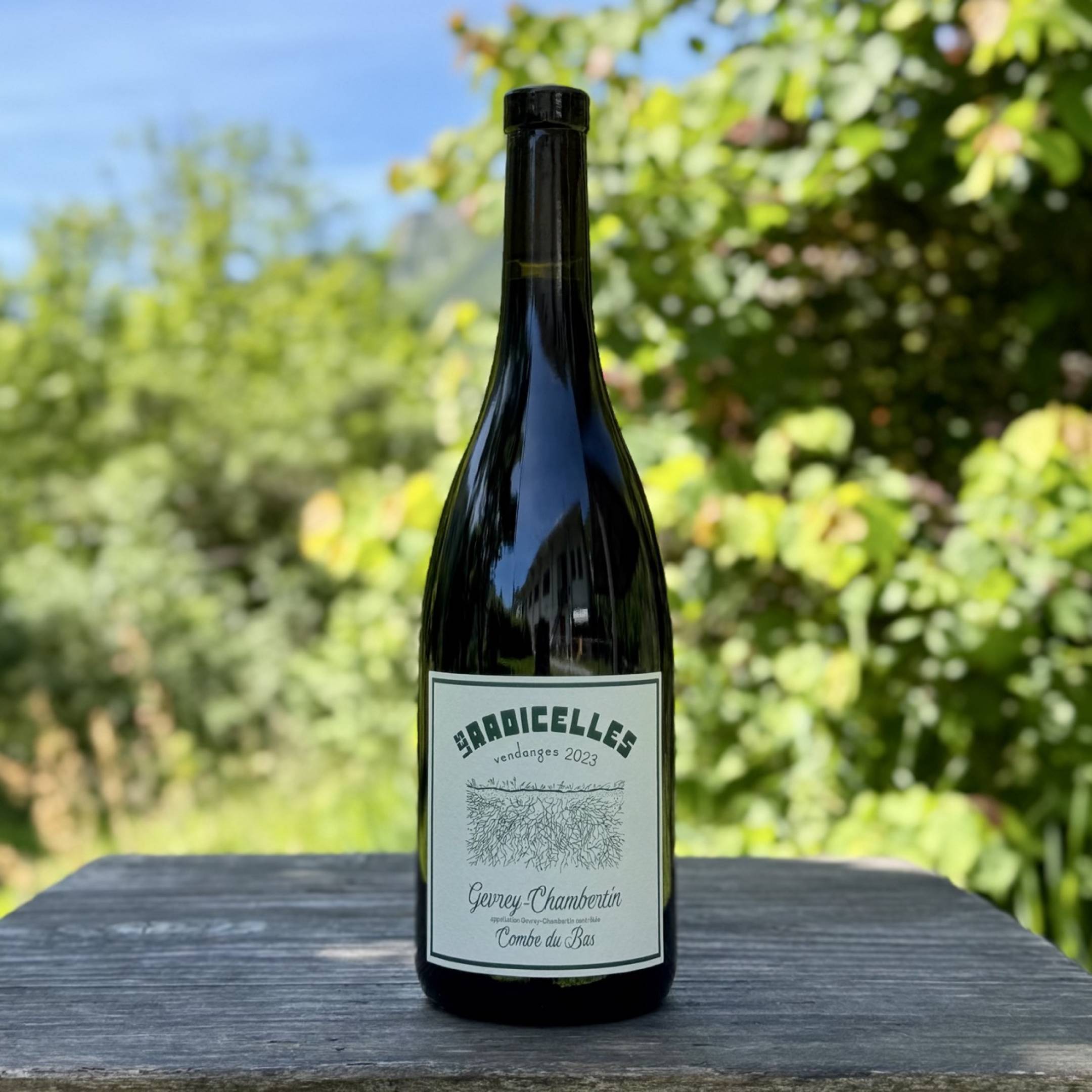 Les Radicelles Gevrey Chambertin Combe du Bas
