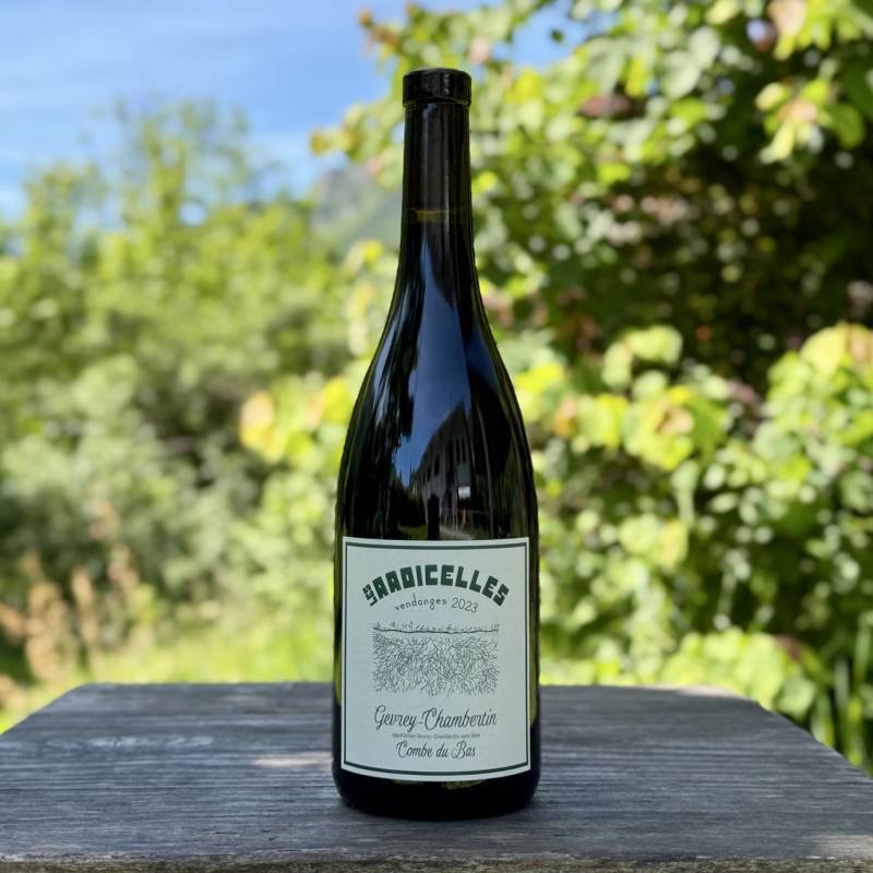 Gevrey Chambertin Combe du Bas