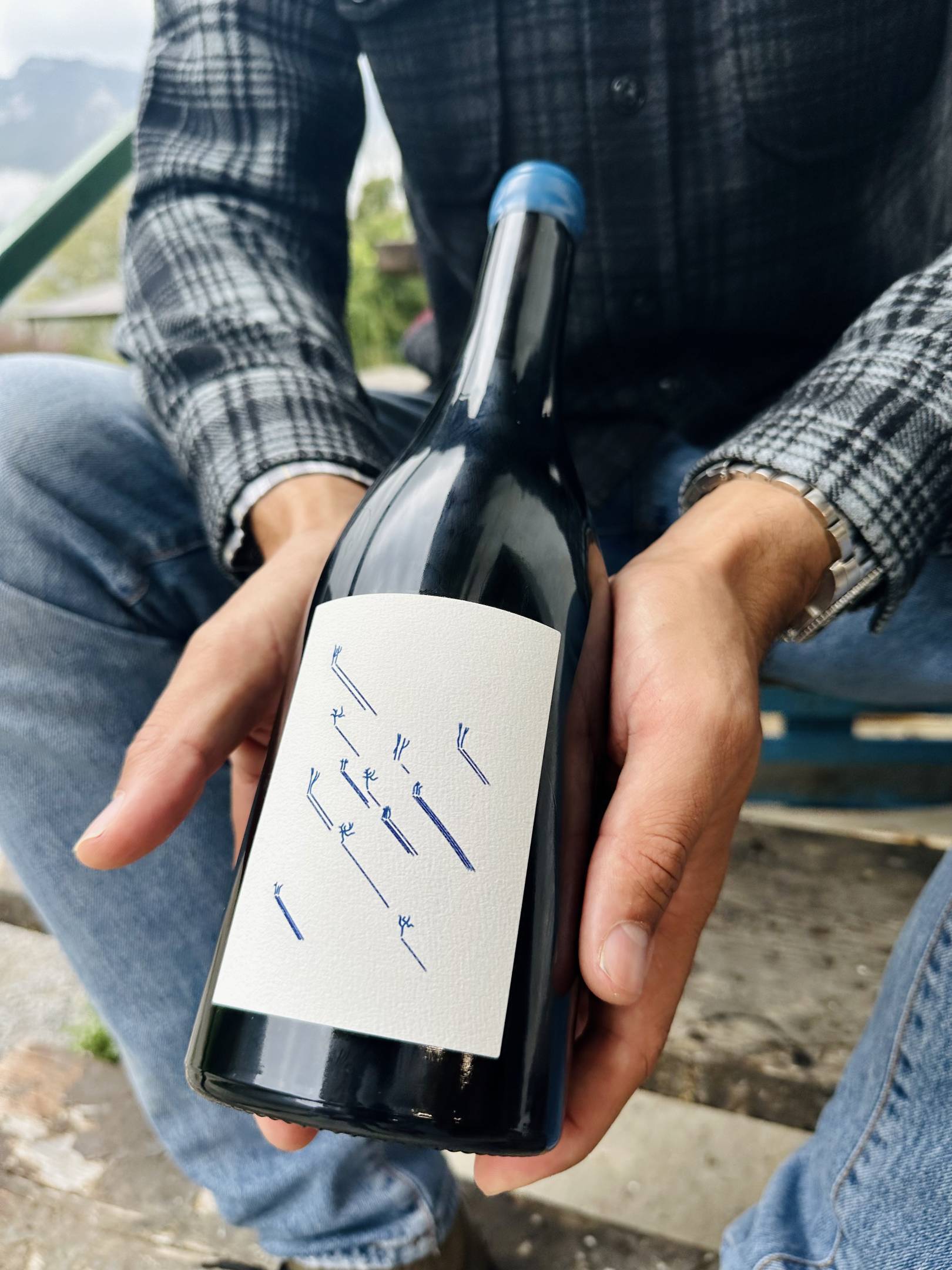 Etichette esclusive Foradori per Wild Vigneron by Ferdy Wild: la transizione generazionale e l'anima ancestrale del Campo Rotaliano.