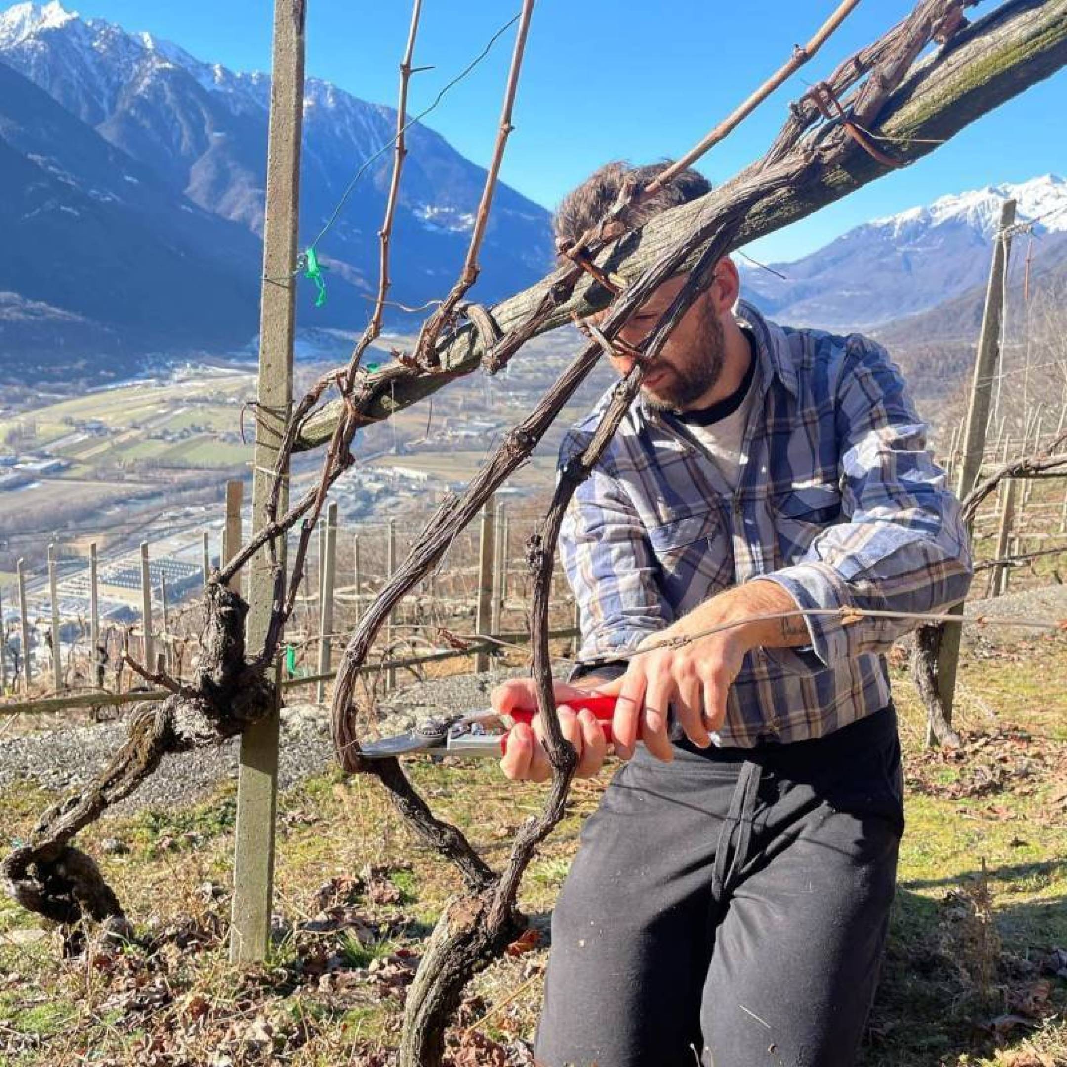 Ogni lunedì, un vigneron. Ogni vigneron, una storia che vale il viaggio.