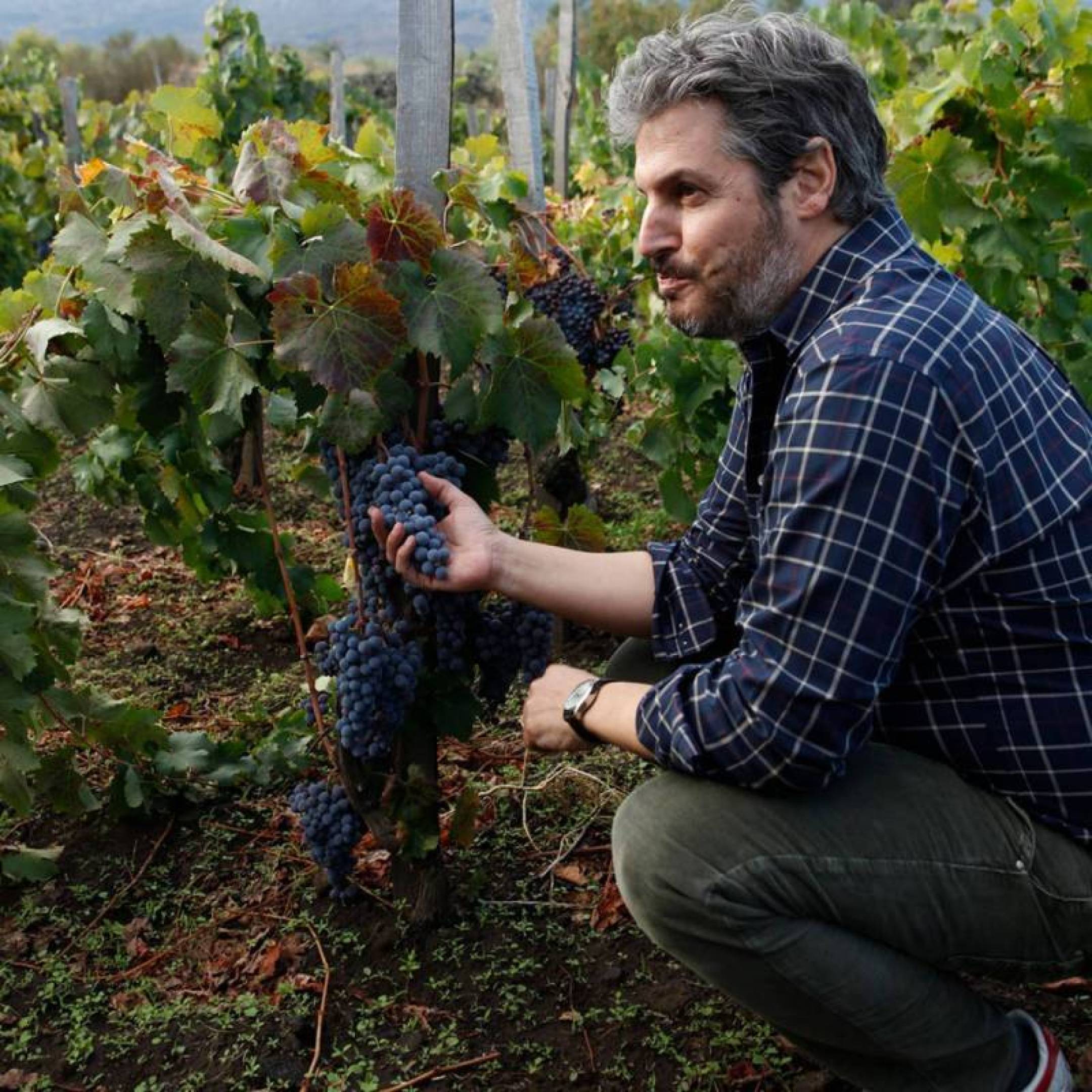 Ogni lunedì, un vigneron. Ogni vigneron, una storia che vale il viaggio.
