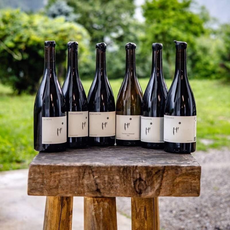 Azzara Tasting Box
